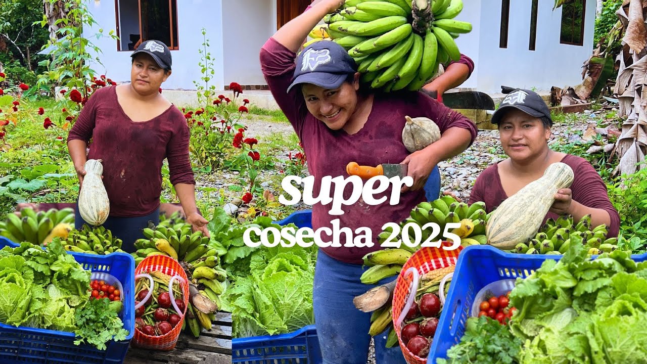 Recogimos las providencias lo que mamá a sembrado