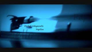 Papillon ~ Meshell Ndegeocello