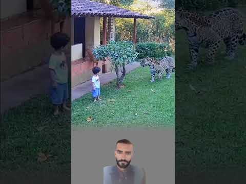 نمر يزحف لطفل يلعب فنب ح الكلب بشجاعة فعاد النمر اكسبلور  
