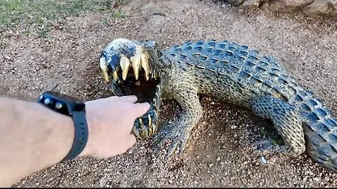 Walking Through Oyster Creek Park In Sugar Land TX / Presidents Day / Future Video Ideas