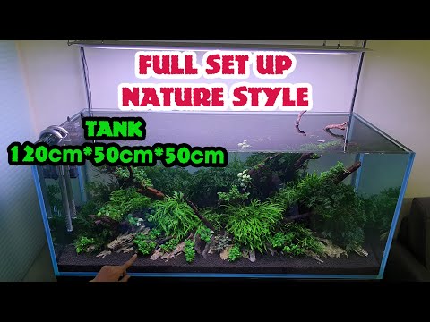 Video #61 Full set up Nature Style tank 120x50x50cm/ Full... - youtube