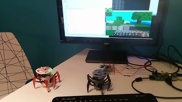 Minecraft Pi + SpiderBot