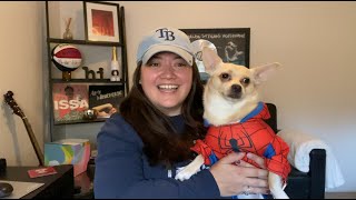 SpiderStan Wants Treats Not Tricks This Halloween