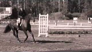 L I F E ...Is The Most Unpredictable Thing There Is