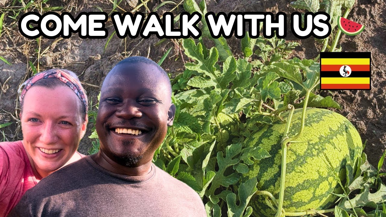 Тихая прогулка по нашей деревне | Наблюдаем за тем, как развивается жизнь в Уганде 🍉