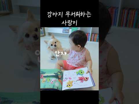 <strong>솜이</strong> 무서워하는 사랑이ㅋㅋ