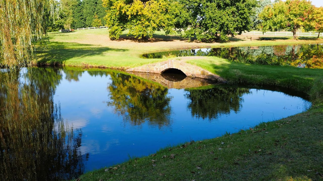 CRUDEN FARM  BUTTERCUPS TOUR April 2022