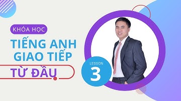Tiếng Anh Cho Người Mới Học | Bài 3 - Cách Đặt Câu Tiếng Anh Cho Câu Đã Có Động Từ