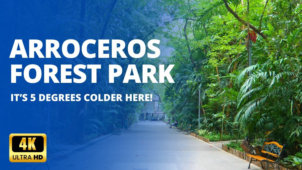 Arroceros Forest Park (Entrance Fee, Plants, Opening Hours)
