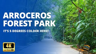 Manila's Last Lung? | Arroceros Forest Park in 2024 | Full Walk Tour