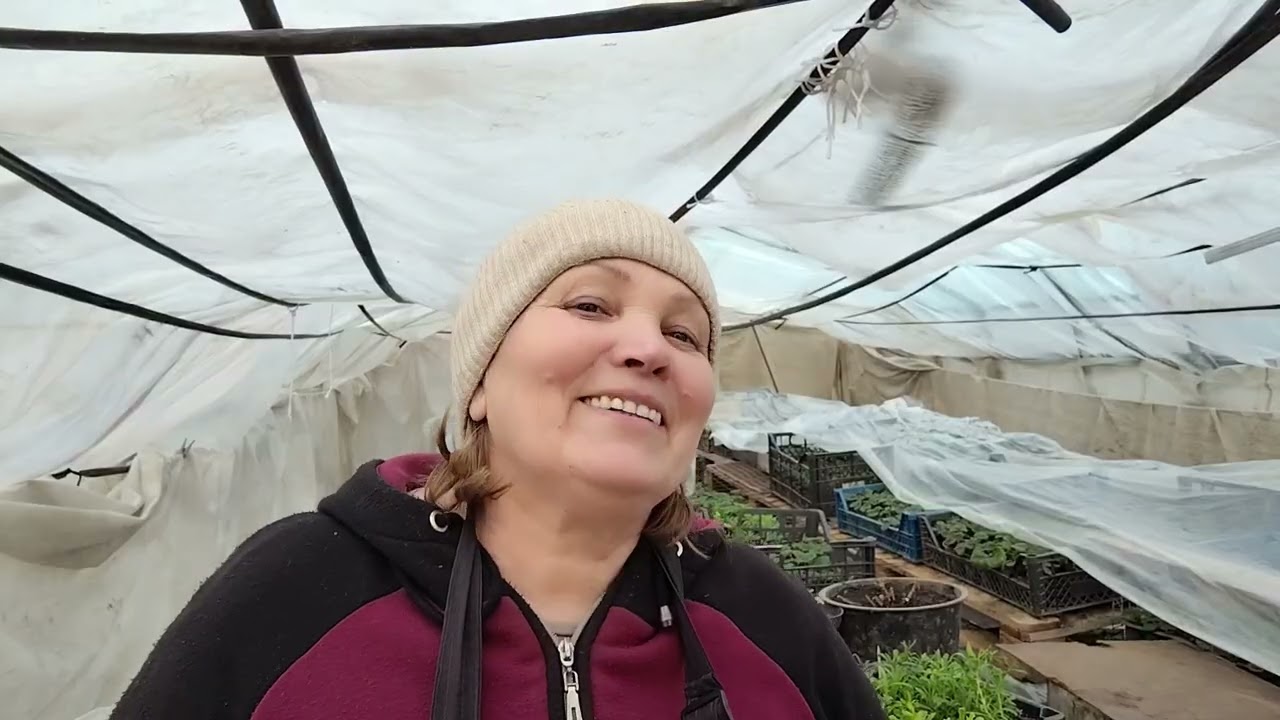 Що  краще плівка чи агроволокно, для раннього врожаю. 