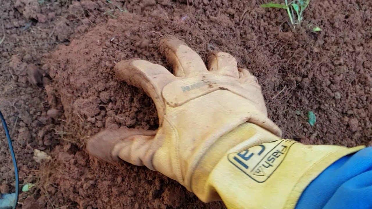 Tilling A Garden Bed For The First Time