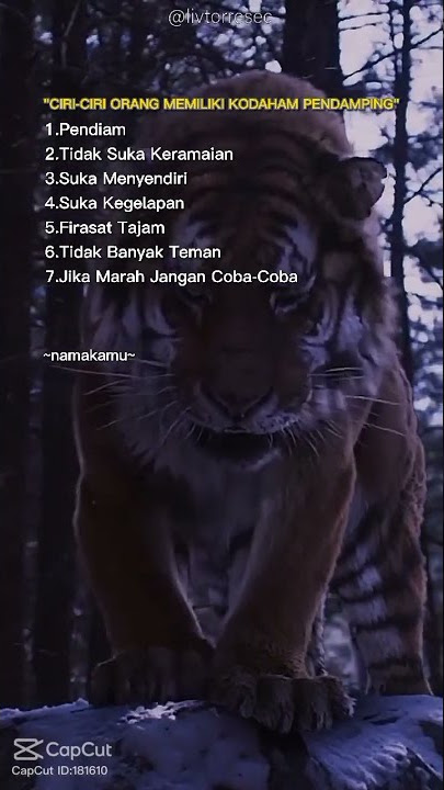 Maung Bodas  (ciri-ciri orang yang punya Khodam pendamping)