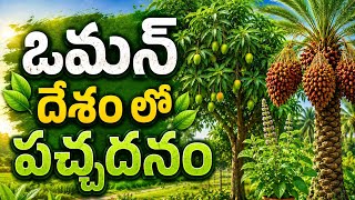 Go Green Save Earth , Plant Trees and help future Generation .