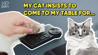 Alright my cat asked, I will teach step by step screenshot 1