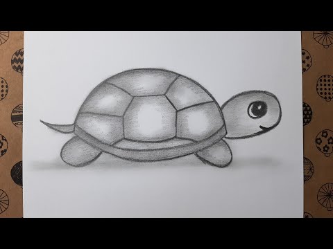 Adım Adım Basit Kaplumbağa Çizimi, Çizim Hobimiz Hayvan Çizimleri, Easy Turtle Drawing Step by Step