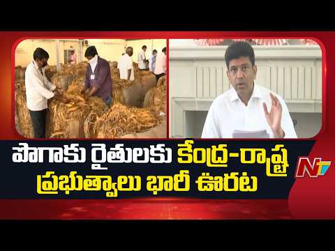 Centre, AP Govt Announce Relief Measures for FCV Tobacco Farmers | Union Mos Pemmasani | NTV Telugu - NTVTELUGU