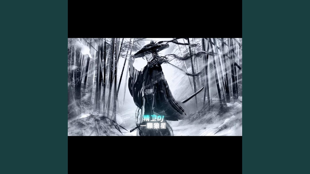 精卫DJ (一颗狼星)