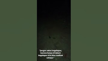 "Jangan takut kegelapan, karena hanya di dalam kegelapan kita bisa melihat cahaya."