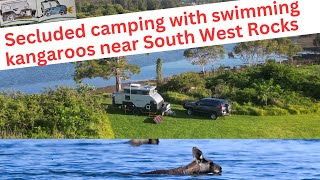 Secluded camping  Jerseyville, midnorth coast