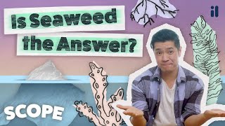 The future of plastic | Scope