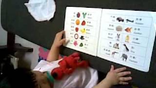 20100411(001).mp4