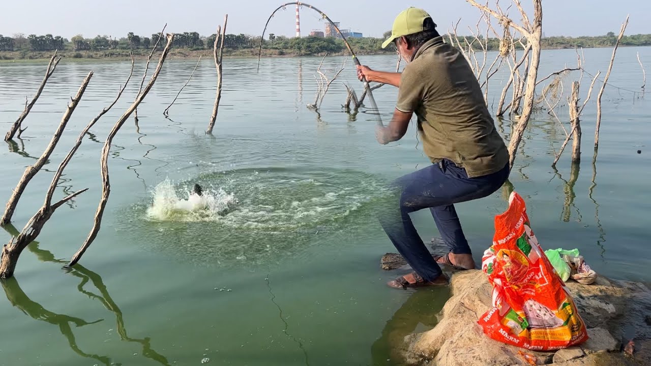 Sitting on a slippery rock and fishing in Krishna river, big fishes 😮 Singal hook fishing