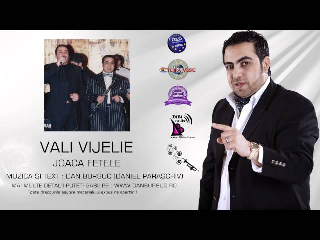 VALI VIJELIE -  JOACA FETELE (AMIRAL MUSIC) class=