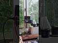 Hab früher gerne Krach gemacht.... Cosmic Tones 432herz