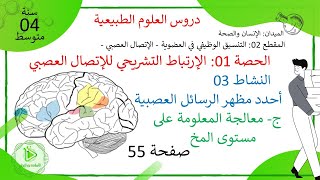 الدرس 18: معالجة المعلومة على مستوى المخ - سطوح القشرة المخية - صفحة 55 علوم طبيعية سنة 04 متوسط