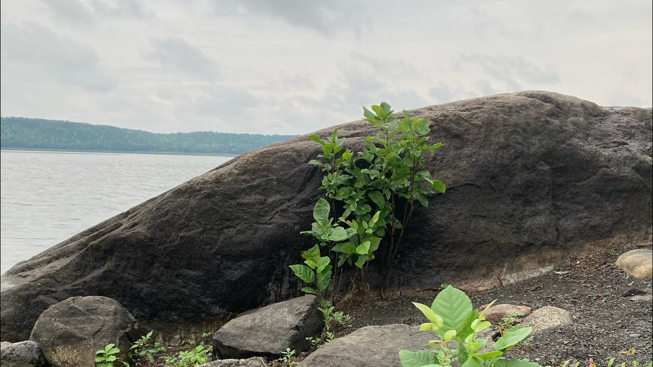 Swan Lake Manitoba YouTube