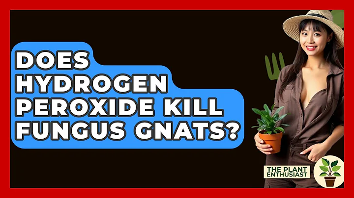 Does Hydrogen Peroxide Kill Fungus Gnats? - The Plant Enthusiast