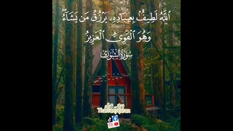 ثواني قرآن كريم عبد الباسط عبد الصمد سورة الشوري(الله لطيف بعباده يرزق من يشاء)حالات واتساب اسلاميه