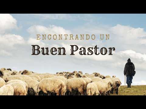 Escrito Está - Encontrando un buen pastor