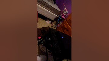 Lil sis play next master