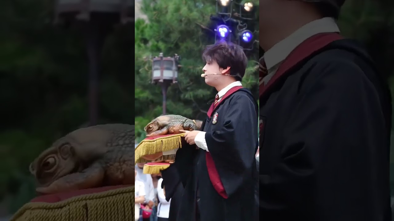 Look carefully,you can find difference from Harry potter and his frog.