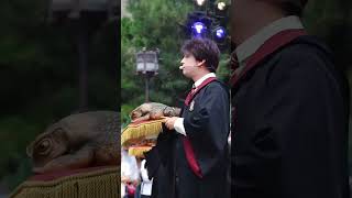 Look Carefully,You Can Find Difference From Harry Potter And His Frog.