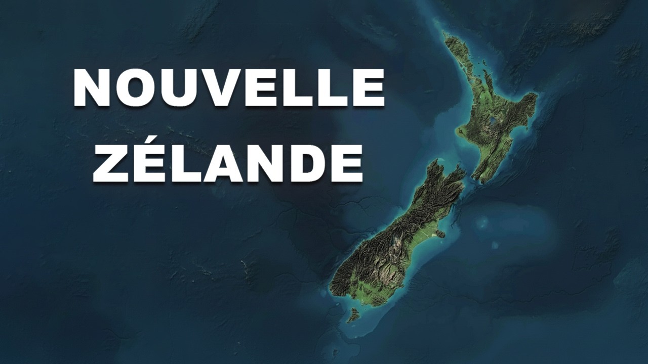 Sous la Nouvelle-Zélande : L’écosystème marin le plus extrême du monde