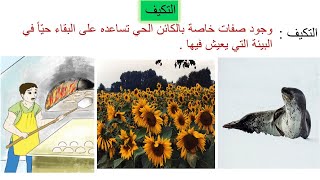 التكيف / علوم الصف الثالث / فهيمة ربيع