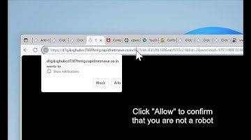 remove Rapidnetmove.co.in