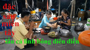 Đặc Sản Miền Sông Nước , Lẩu Cá Linh Bông Điên Điển # SĂN BẮT ĐỒNG THÁP #
