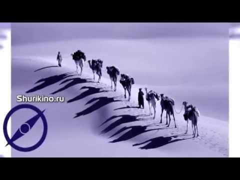 Видео презентация ролик Транспортной логистической компании для показа на стенде выставки