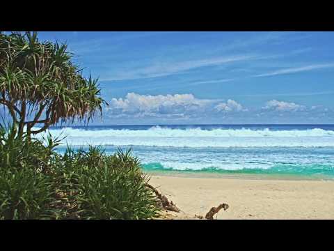 3 Hours of Pure Ocean Solitude: Relaxing Shoreline Sounds to Wash Your Stress Away☀️@TerraDreamss