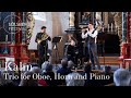 Robert Kahn: Trio for Oboe, Horn and Piano, op. 73 / Andrey Godik, David Guerrier & Nelson Goerner