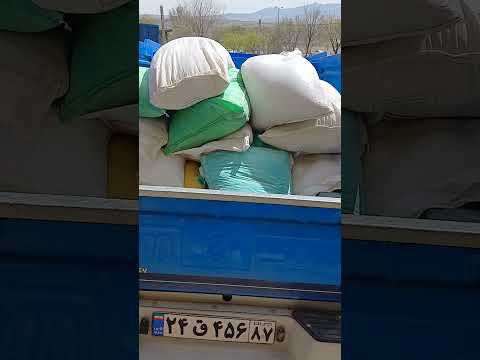 تولید دان مرغ بوقلمون بلدرچين تخم نطفه دار مرغ و بوقلمون جوجه مرغ بوقلمون