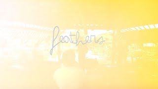 David Tribble Band - Feathers