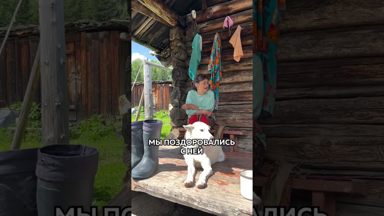 Тропинка привела нас к избушке посреди тайги. А там живет... - YouTube