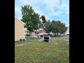 dixie horning the rc 30°north ddt brushless short course truck #rc #jayandjaxsgarage @PrimalRC