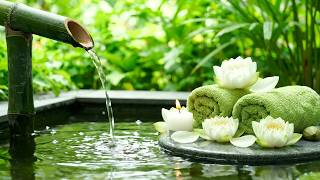 Peaceful Night Ambience | Green Bamboo Water Garden, Soft Water Flow and Piano for Stress Relief screenshot 4