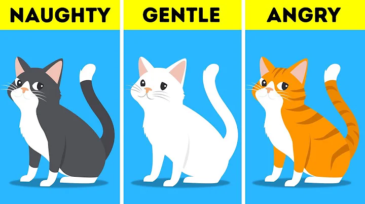 What Your Pet's Color Says About Their Personality - DayDayNews